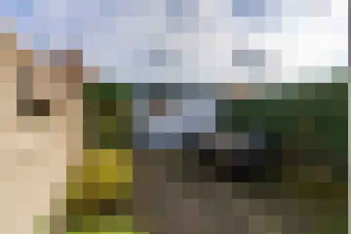 Van Sonstraat 18 Tilburg thumbnail 26