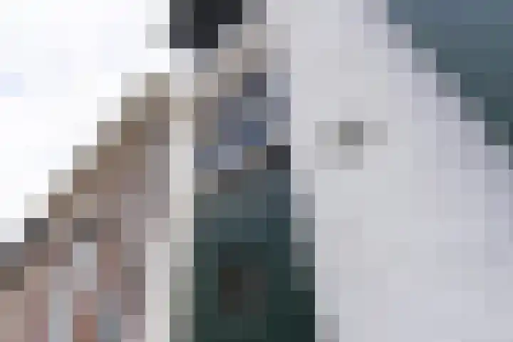 Van Sonstraat 18 Tilburg thumbnail 5