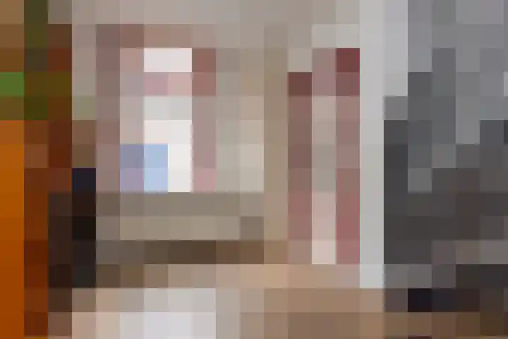 Van Sonstraat 18 Tilburg thumbnail 7