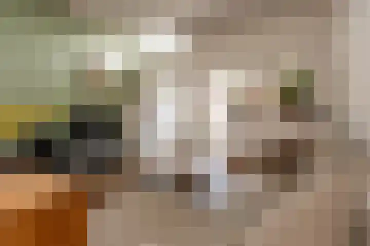 Van Sonstraat 18 Tilburg thumbnail 8