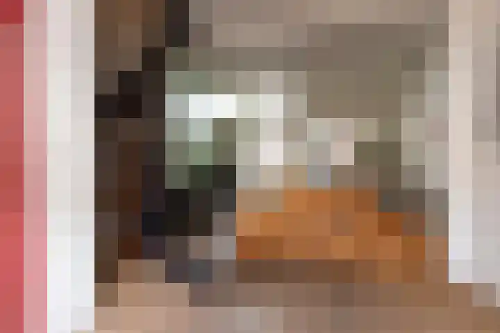 Van Sonstraat 18 Tilburg thumbnail 9