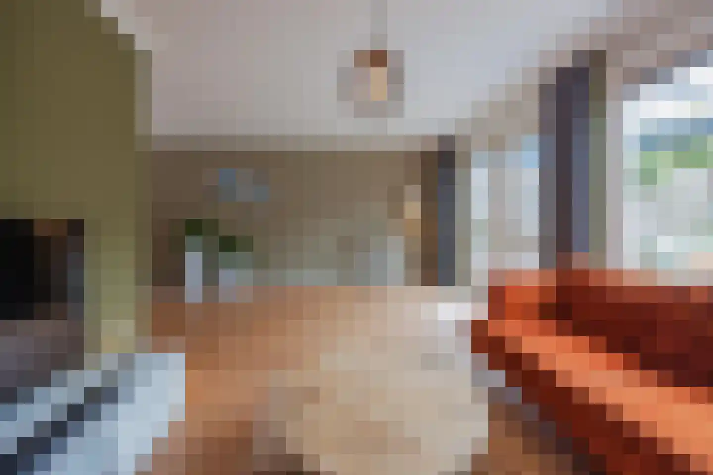 Van Sonsveldstraat 19 Horst thumbnail 13