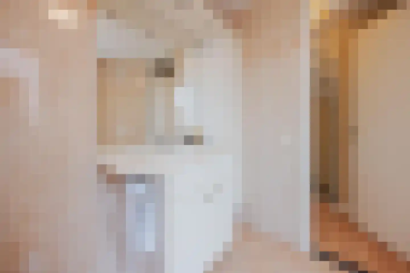 Van Sonsveldstraat 19 Horst thumbnail 29