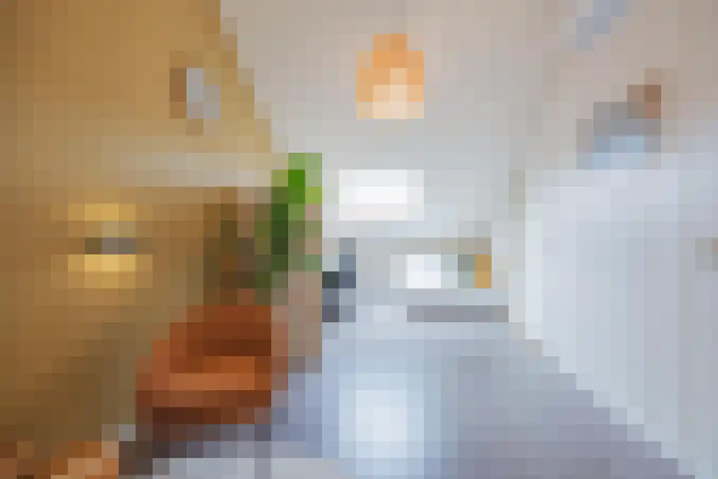 Van Sonsveldstraat 19 Horst thumbnail 33