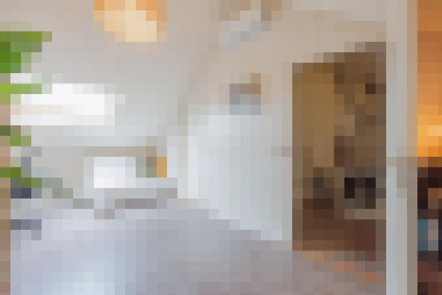 Van Sonsveldstraat 19 Horst thumbnail 35