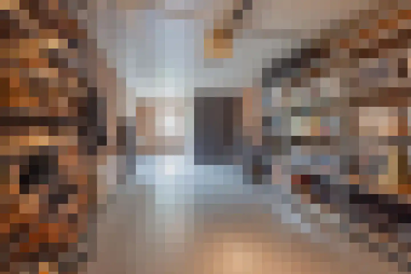 Van Sonsveldstraat 19 Horst thumbnail 37