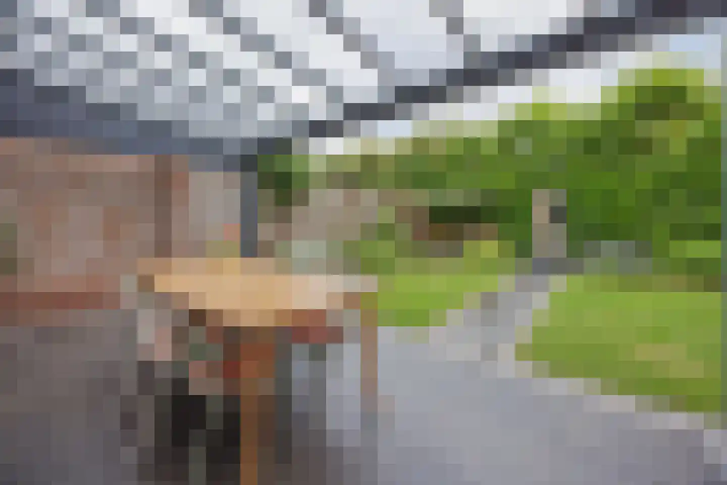 Van Sonsveldstraat 19 Horst thumbnail 38