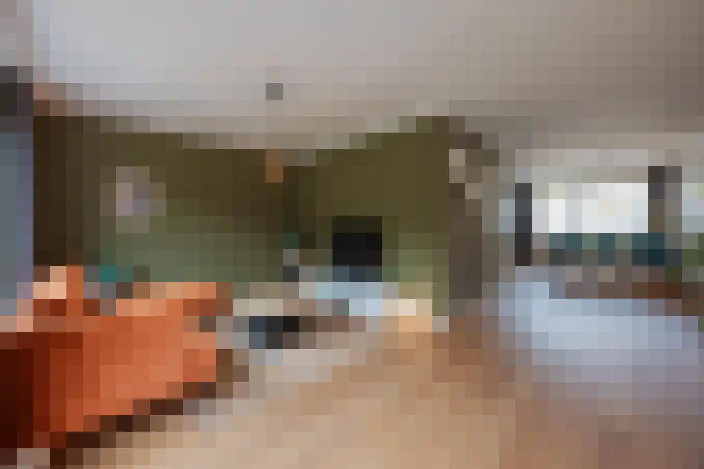 Van Sonsveldstraat 19 Horst thumbnail 4