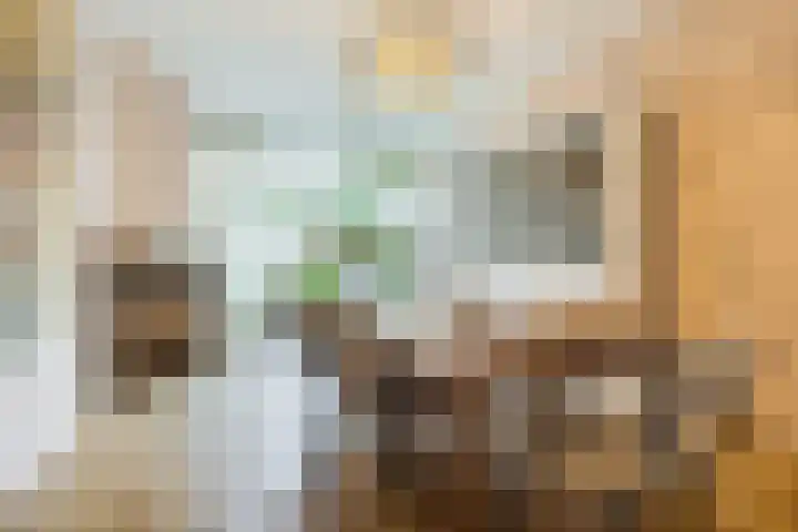 Van Soutelandelaan 21 Den Haag thumbnail 13