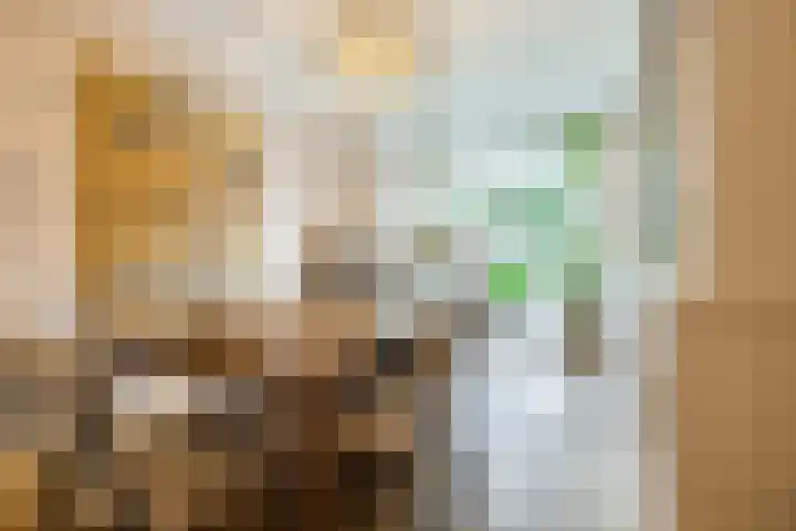 Van Soutelandelaan 21 Den Haag thumbnail 14