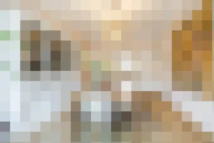 Van Soutelandelaan 21 Den Haag thumbnail 15