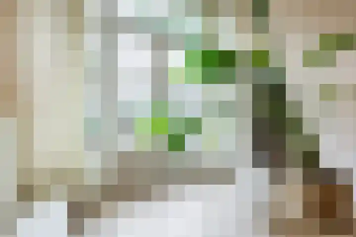 Van Soutelandelaan 21 Den Haag thumbnail 16