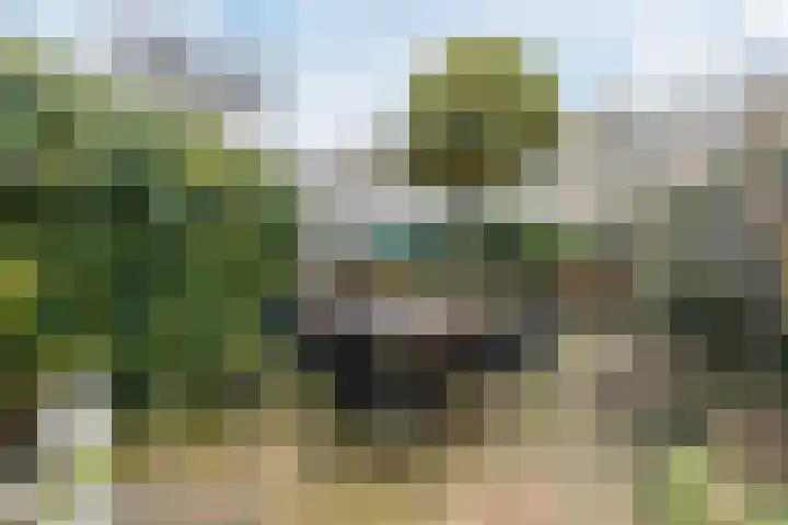 Van Soutelandelaan 21 Den Haag thumbnail 17
