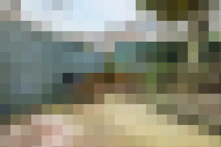 Van Soutelandelaan 21 Den Haag thumbnail 19