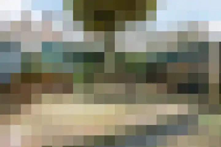 Van Soutelandelaan 21 Den Haag thumbnail 20