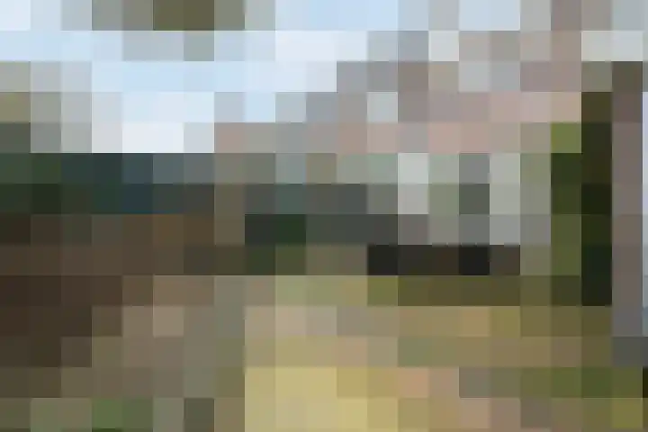 Van Soutelandelaan 21 Den Haag thumbnail 21