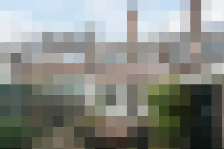 Van Soutelandelaan 21 Den Haag thumbnail 22
