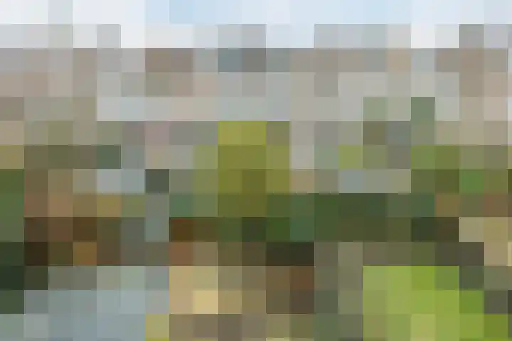 Van Soutelandelaan 21 Den Haag thumbnail 23