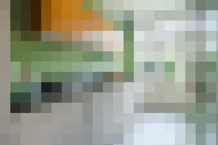 Van Soutelandelaan 21 Den Haag thumbnail 25