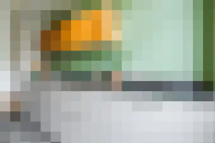 Van Soutelandelaan 21 Den Haag thumbnail 26
