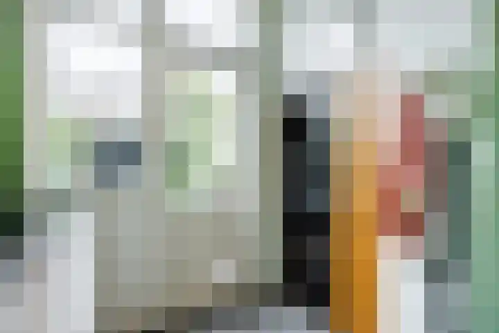 Van Soutelandelaan 21 Den Haag thumbnail 27