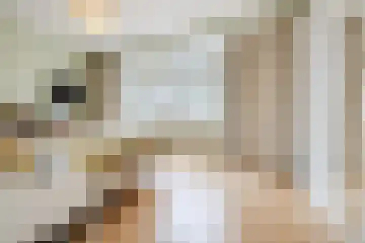 Van Soutelandelaan 21 Den Haag thumbnail 29