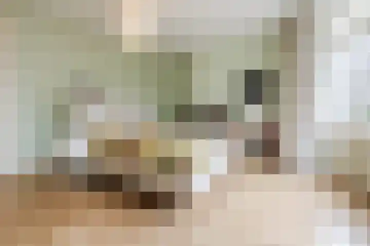 Van Soutelandelaan 21 Den Haag thumbnail 30