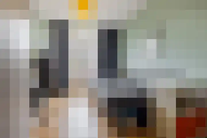 Van Soutelandelaan 21 Den Haag thumbnail 36
