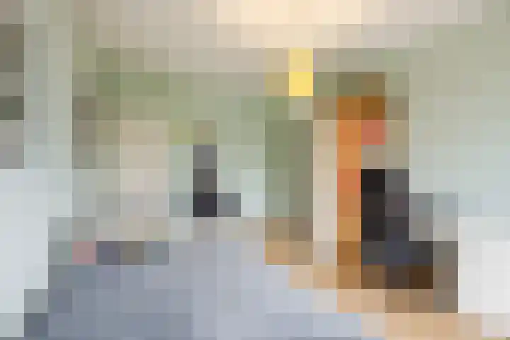 Van Soutelandelaan 21 Den Haag thumbnail 38