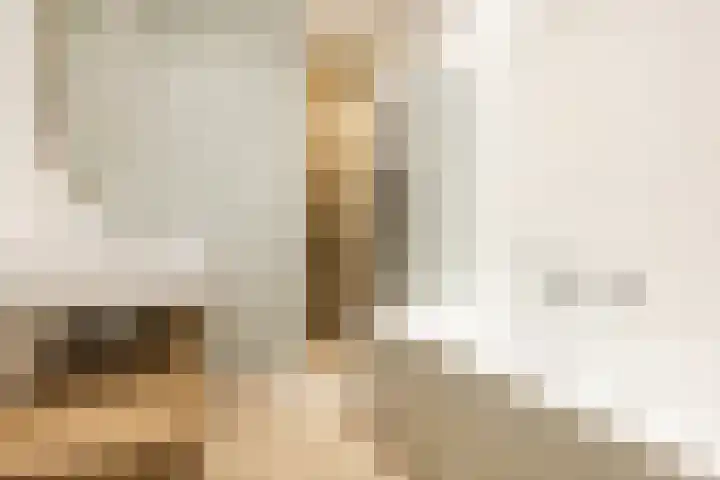 Van Soutelandelaan 21 Den Haag thumbnail 4