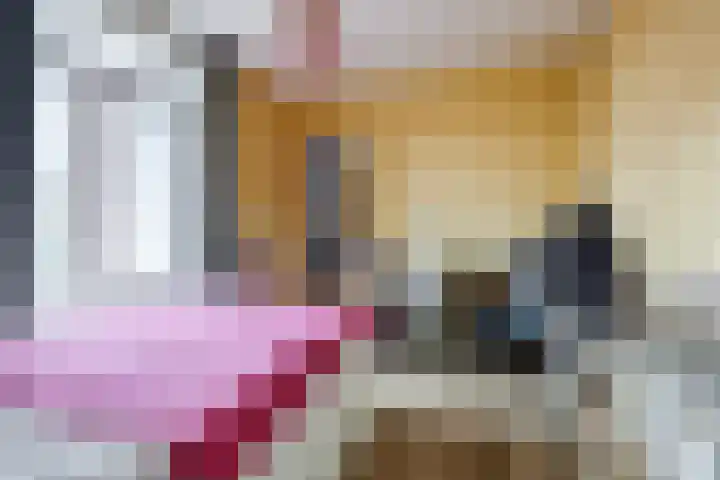 Van Soutelandelaan 21 Den Haag thumbnail 44