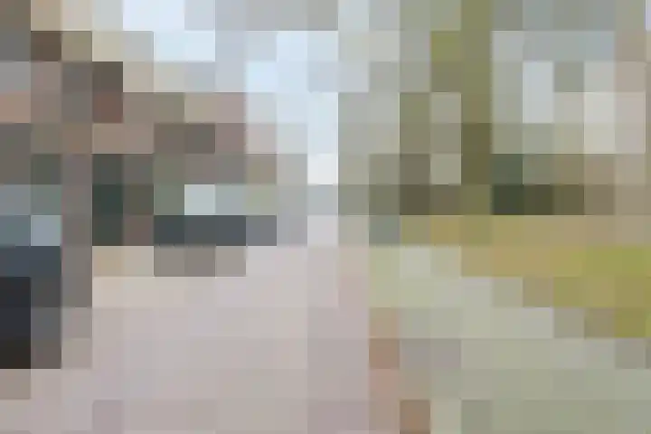Van Soutelandelaan 21 Den Haag thumbnail 52