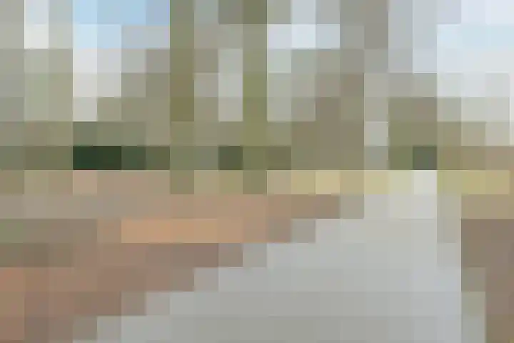 Van Soutelandelaan 21 Den Haag thumbnail 54