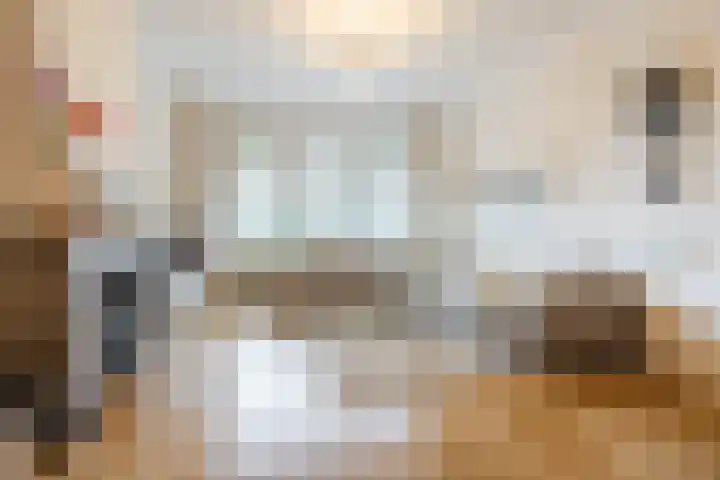 Van Soutelandelaan 21 Den Haag thumbnail 8