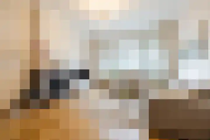 Van Soutelandelaan 21 Den Haag thumbnail 9