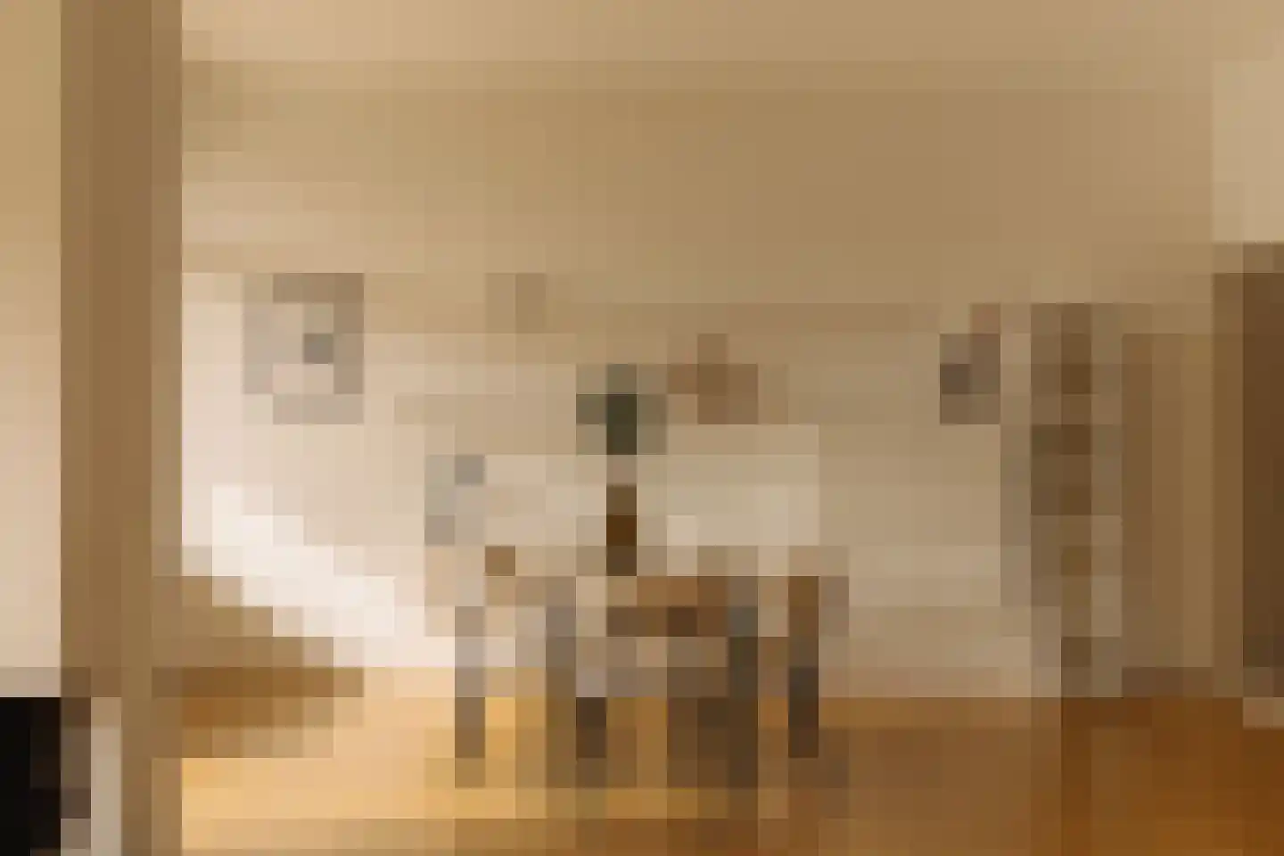 Van Soutelandelaan 22 Den Haag thumbnail 10