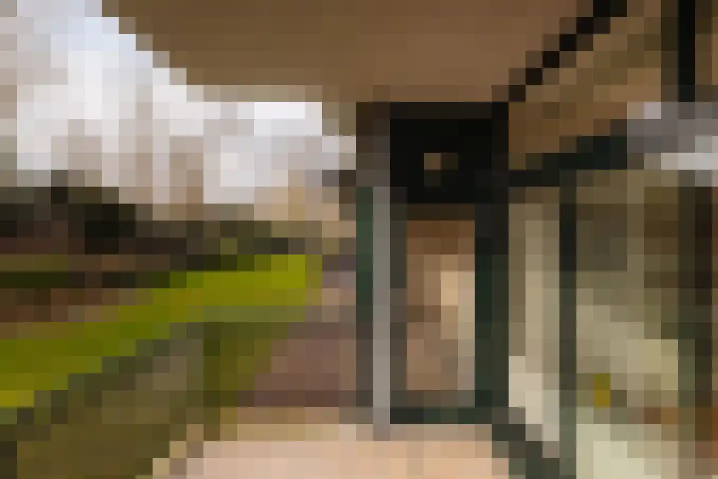 Van Soutelandelaan 22 Den Haag thumbnail 14