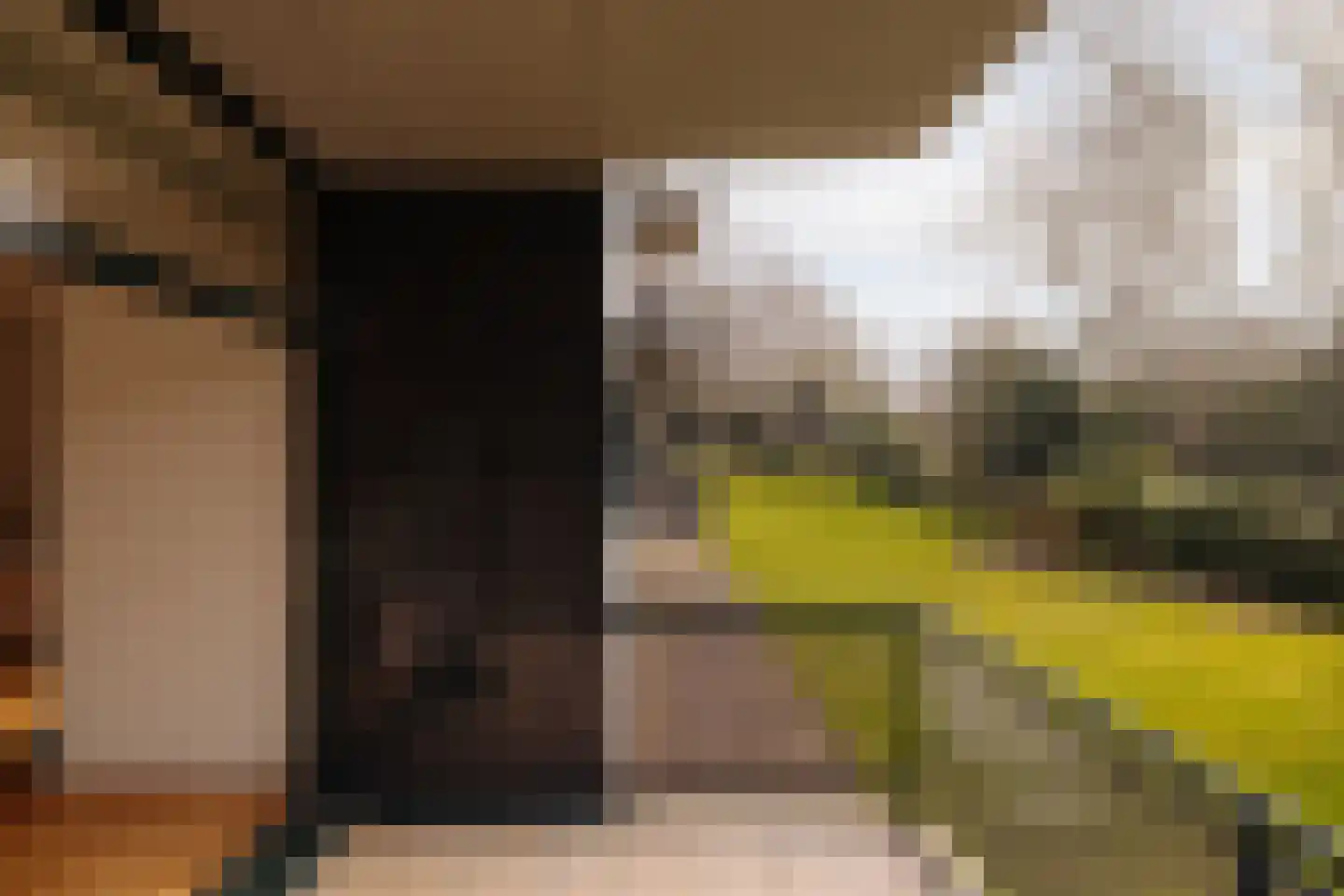 Van Soutelandelaan 22 Den Haag thumbnail 15