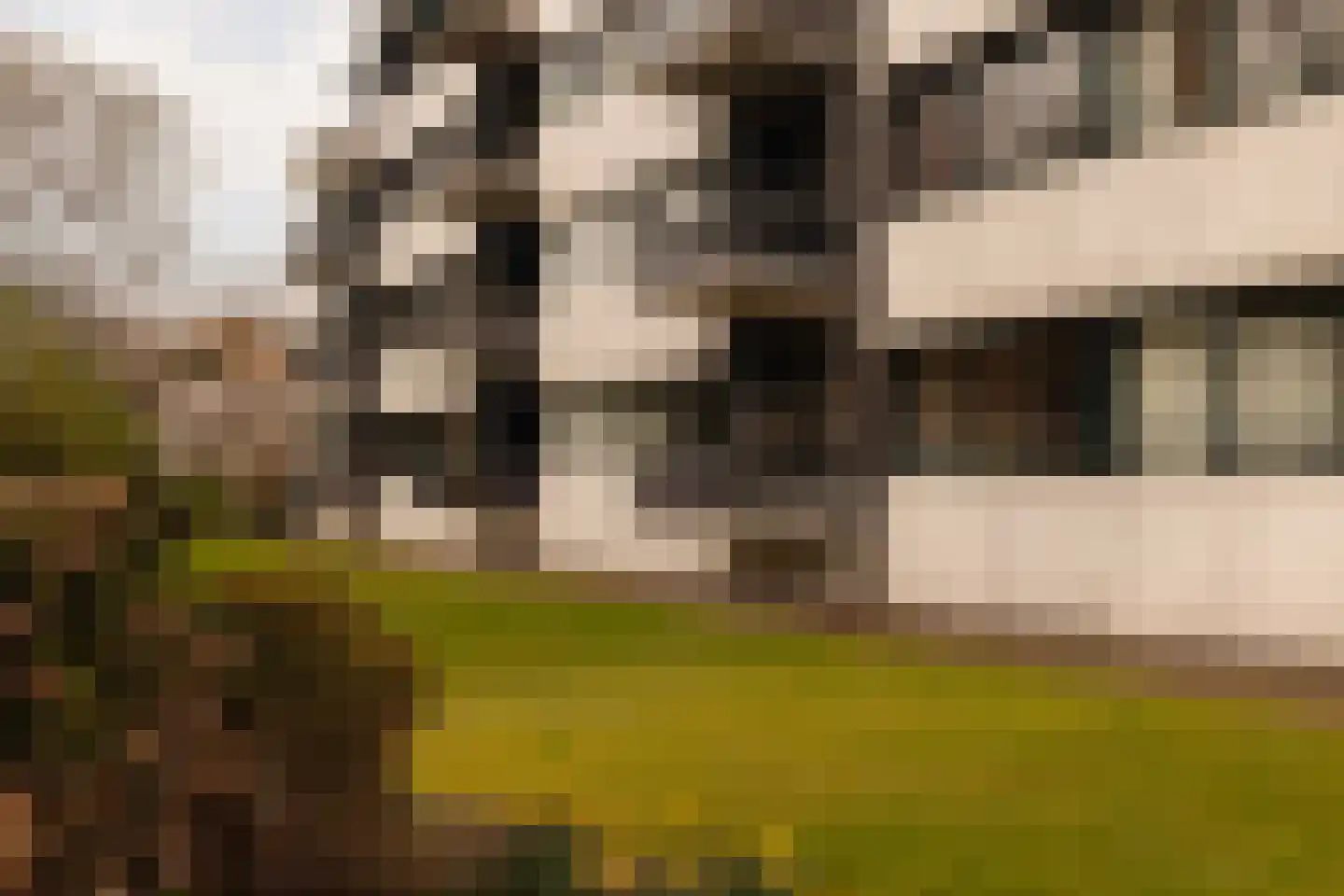 Van Soutelandelaan 22 Den Haag thumbnail 16
