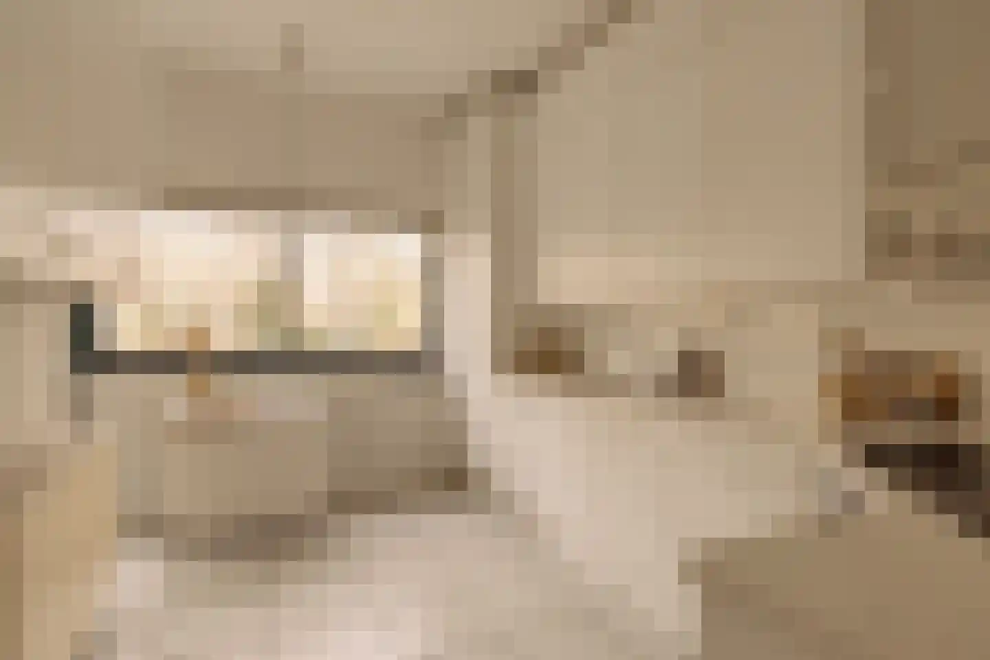 Van Soutelandelaan 22 Den Haag thumbnail 18