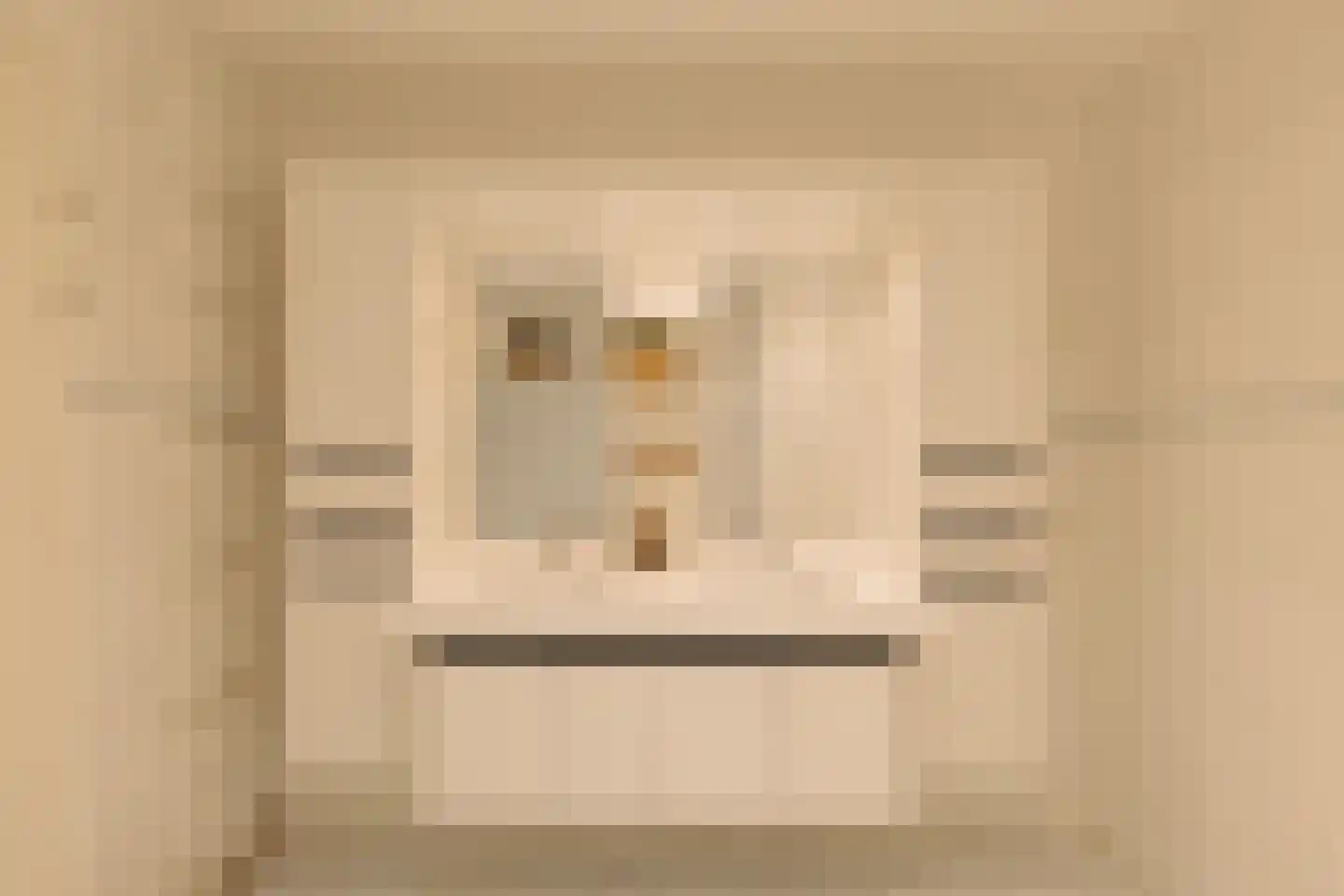 Van Soutelandelaan 22 Den Haag thumbnail 26