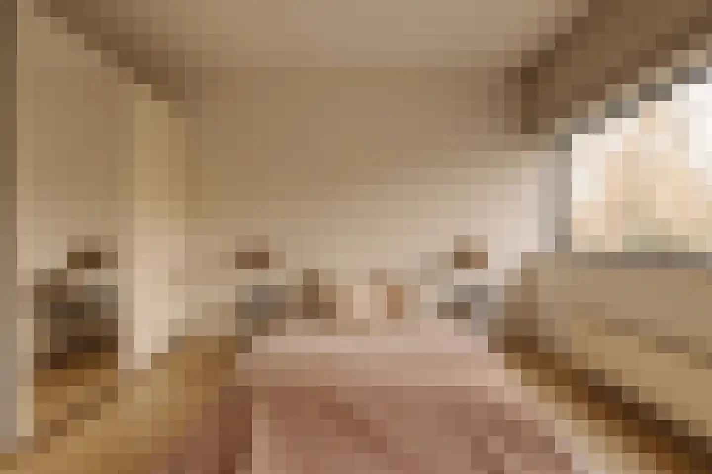 Van Soutelandelaan 22 Den Haag thumbnail 29