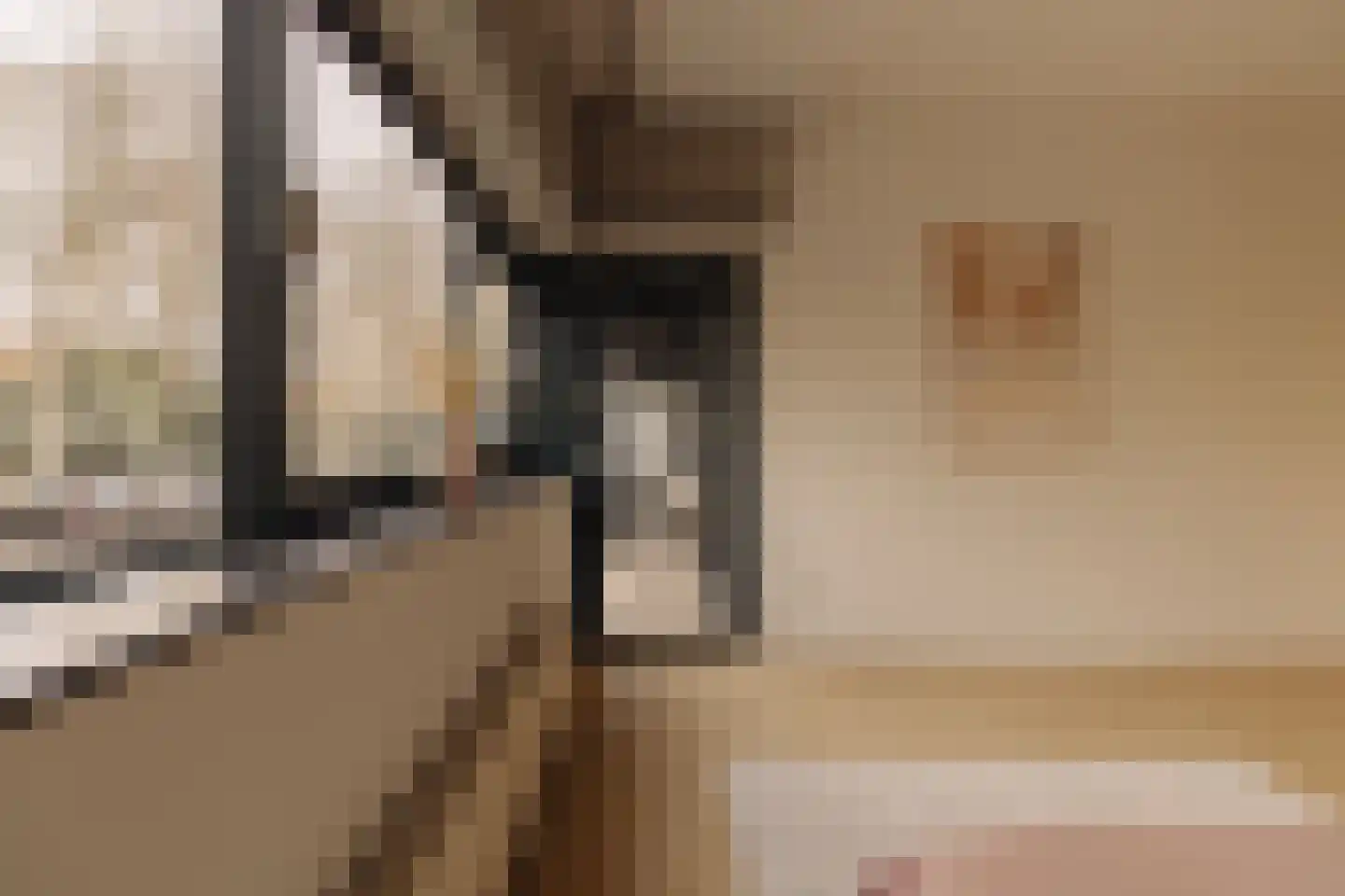 Van Soutelandelaan 22 Den Haag thumbnail 30