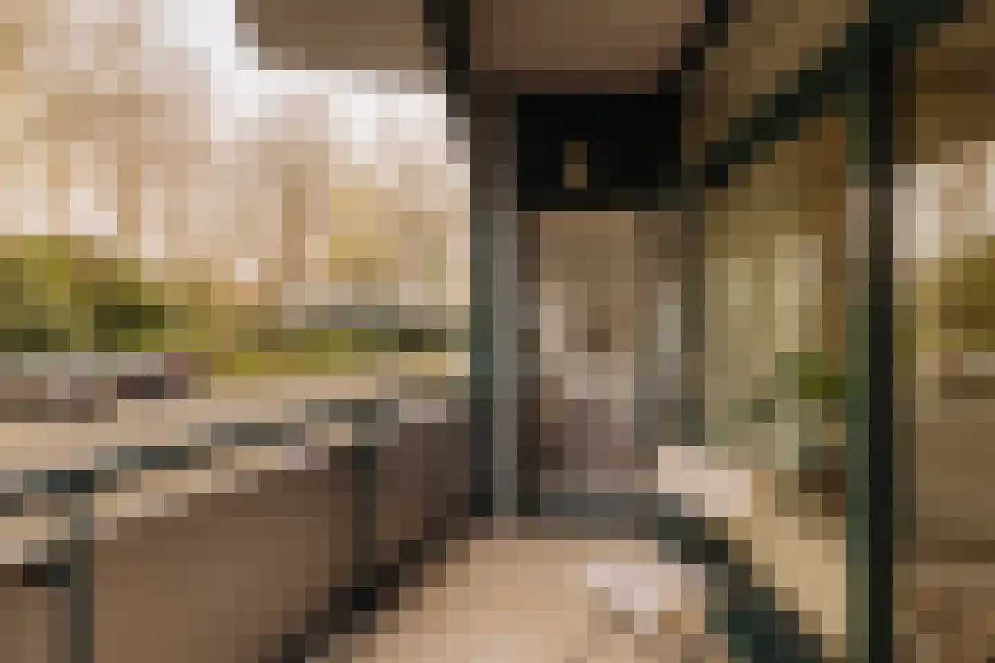 Van Soutelandelaan 22 Den Haag thumbnail 32