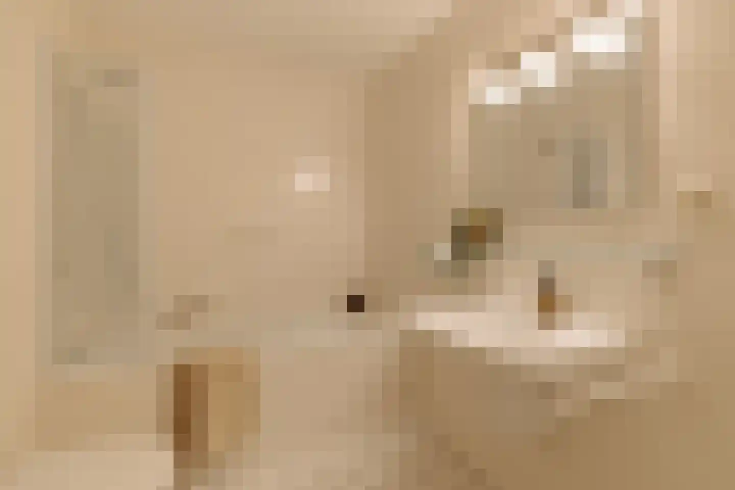 Van Soutelandelaan 22 Den Haag thumbnail 33