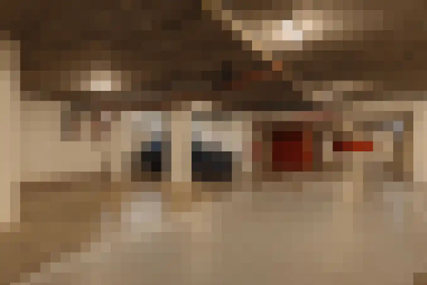 Van Soutelandelaan 22 Den Haag thumbnail 34