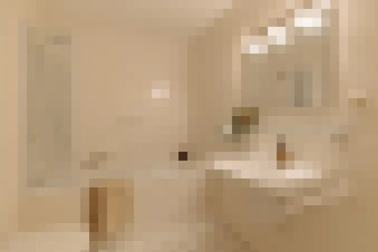 Van Soutelandelaan 22 Den Haag thumbnail 35