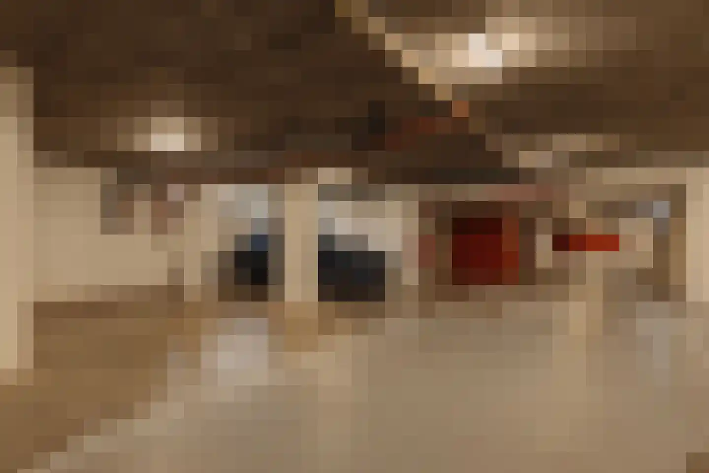 Van Soutelandelaan 22 Den Haag thumbnail 36