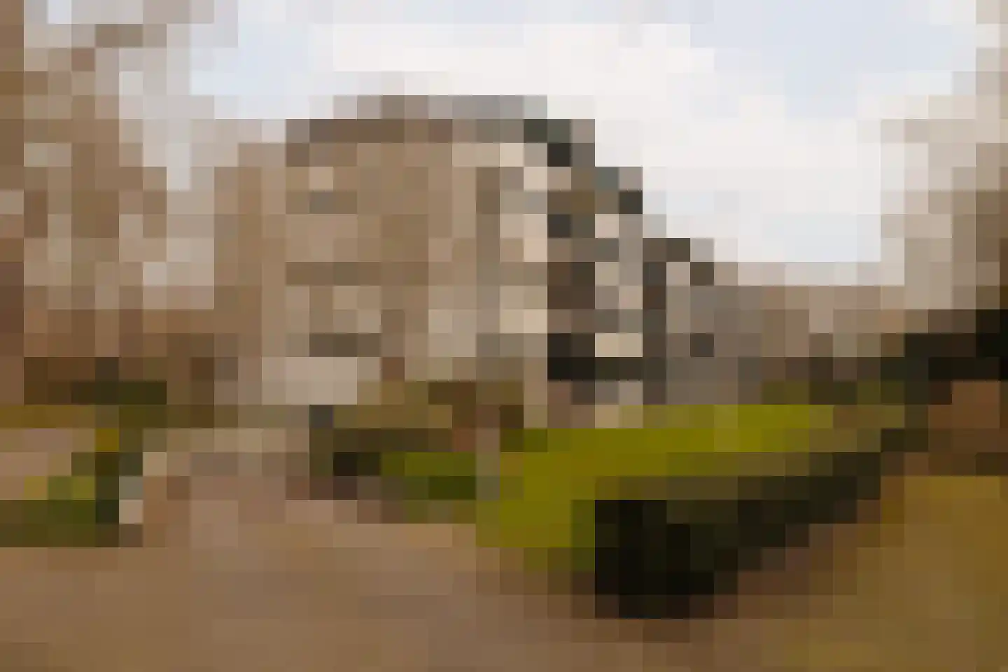 Van Soutelandelaan 22 Den Haag thumbnail 36