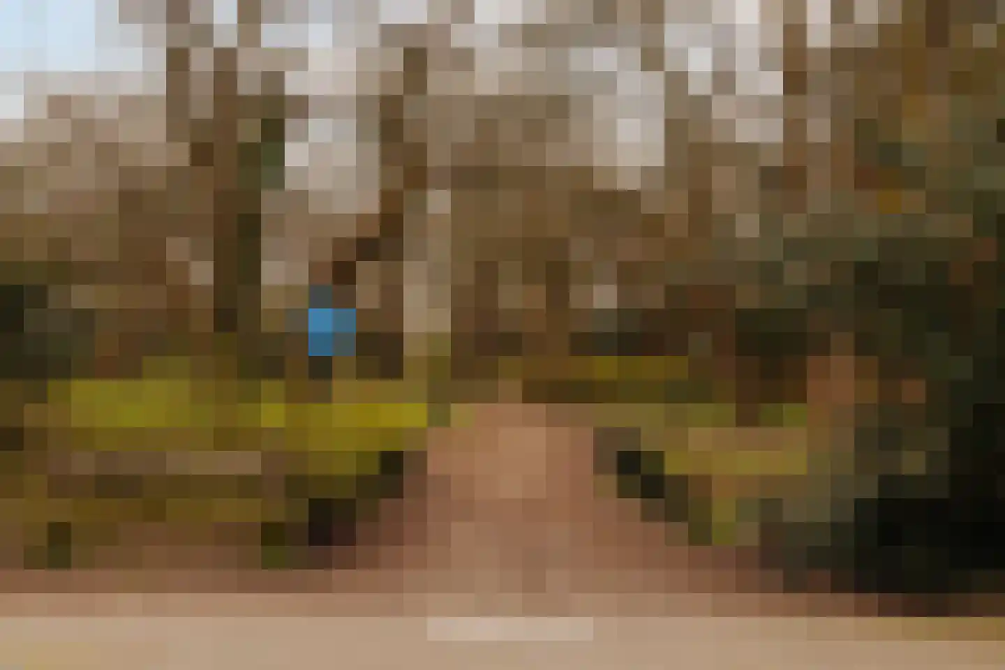 Van Soutelandelaan 22 Den Haag thumbnail 37